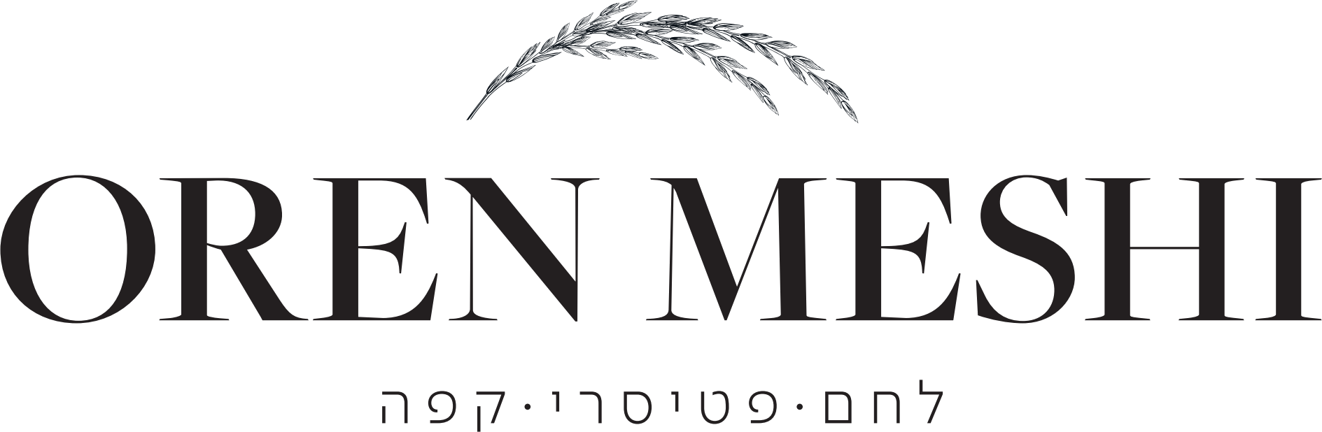 Oren Meshi